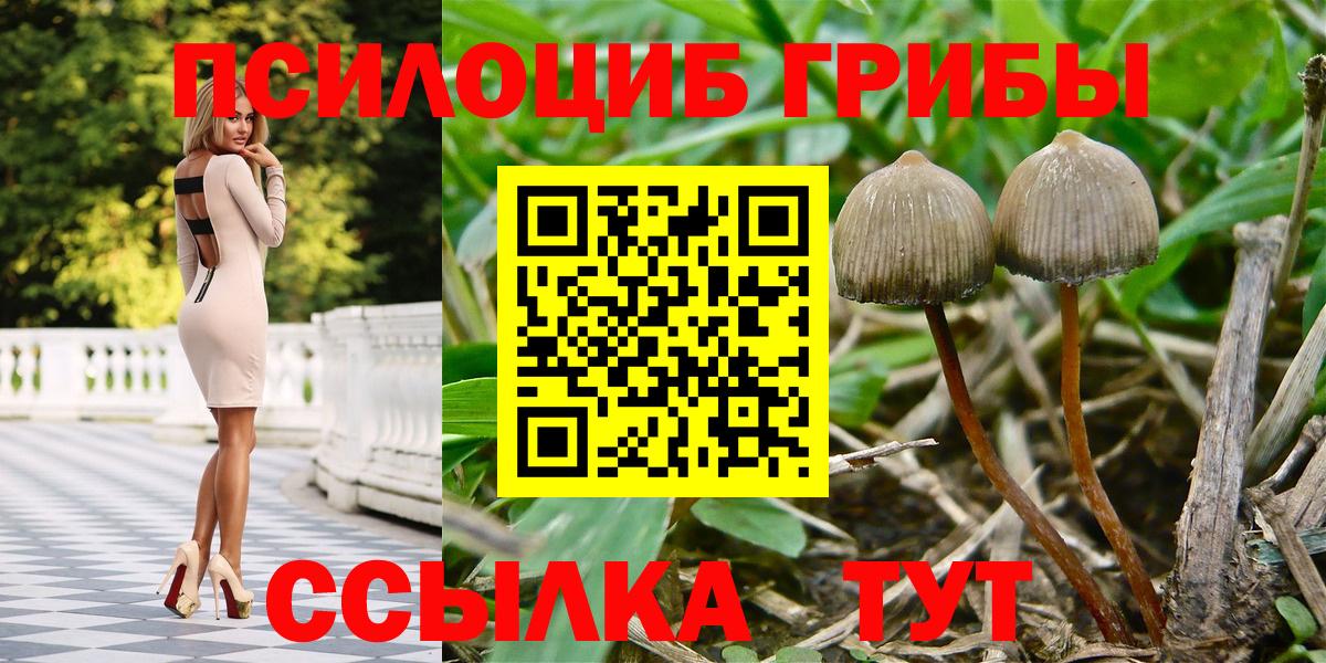 Псилоцибиновые грибы GOLDEN TEACHER  Вход с VPN  Галлюциногенные грибы мухоморы  Качканар 