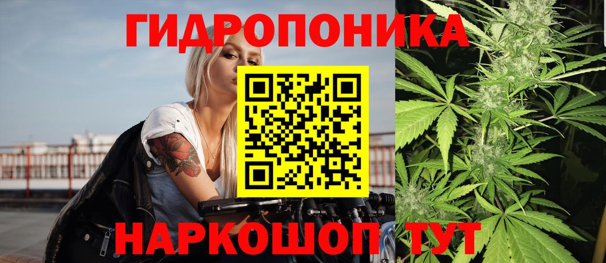 Марихуана SATIVA & INDICA Качканар